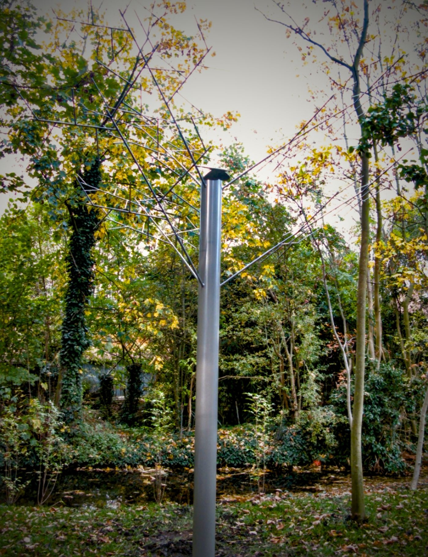 De vlinderboom.jpg (1)
